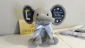 Personalized 'Welcome to the World' Elephant Plush